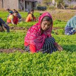 officer revolutionizing indian - How an IFS Officer is Revolutionizing Indian Agriculture Using AI-Driven Reforestation Strategies