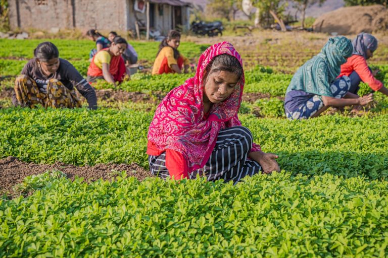 officer revolutionizing indian - How an IFS Officer is Revolutionizing Indian Agriculture Using AI-Driven Reforestation Strategies