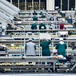 unlocking future packaging - Unlocking the Future: How Packaging Machinery & Converting Automation Will Transform Industries by 2036