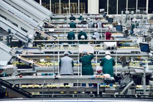 unlocking future packaging - Unlocking the Future: How Packaging Machinery & Converting Automation Will Transform Industries by 2036