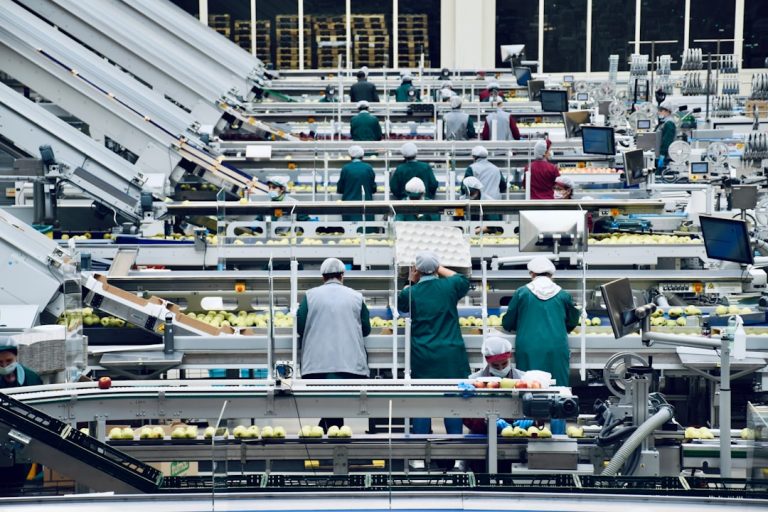 unlocking future packaging - Unlocking the Future: How Packaging Machinery & Converting Automation Will Transform Industries by 2036