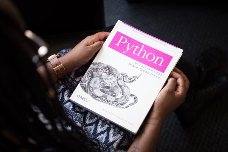 beyond python highperformance - Beyond Python: The High-Performance Languages Powering the Next AI Revolution