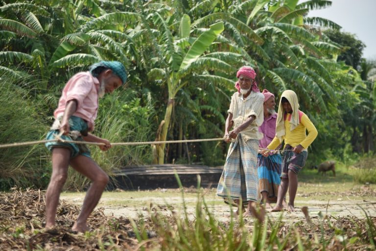 scaling unseen wipos - Scaling the Unseen: How WIPO's Development Agenda is Transforming the Informal Economy