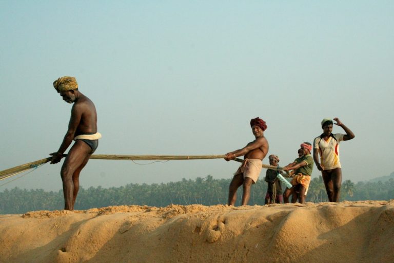 shadow scale wipos - From Shadow to Scale: How WIPO's Development Agenda is Revolutionizing the Informal Economy